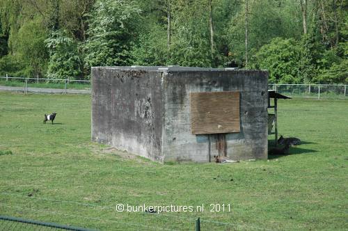 © bunkerpictures - Dutch P-kazemat
